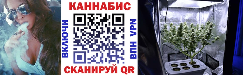 Купить где  Слободской  Шишки марихуана Amnesia 